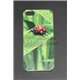 iPhone 5/5S чехол-накладка,божья коровка, пластиковый, зеленый фон 